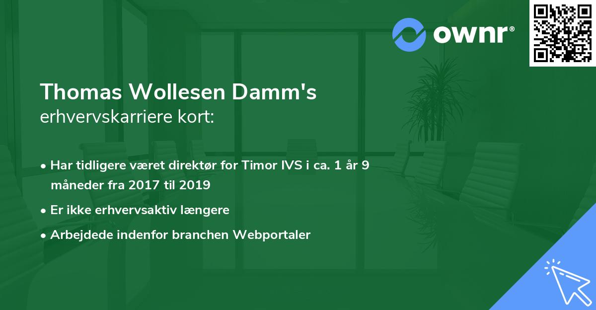 Thomas Wollesen Damm's erhvervskarriere kort
