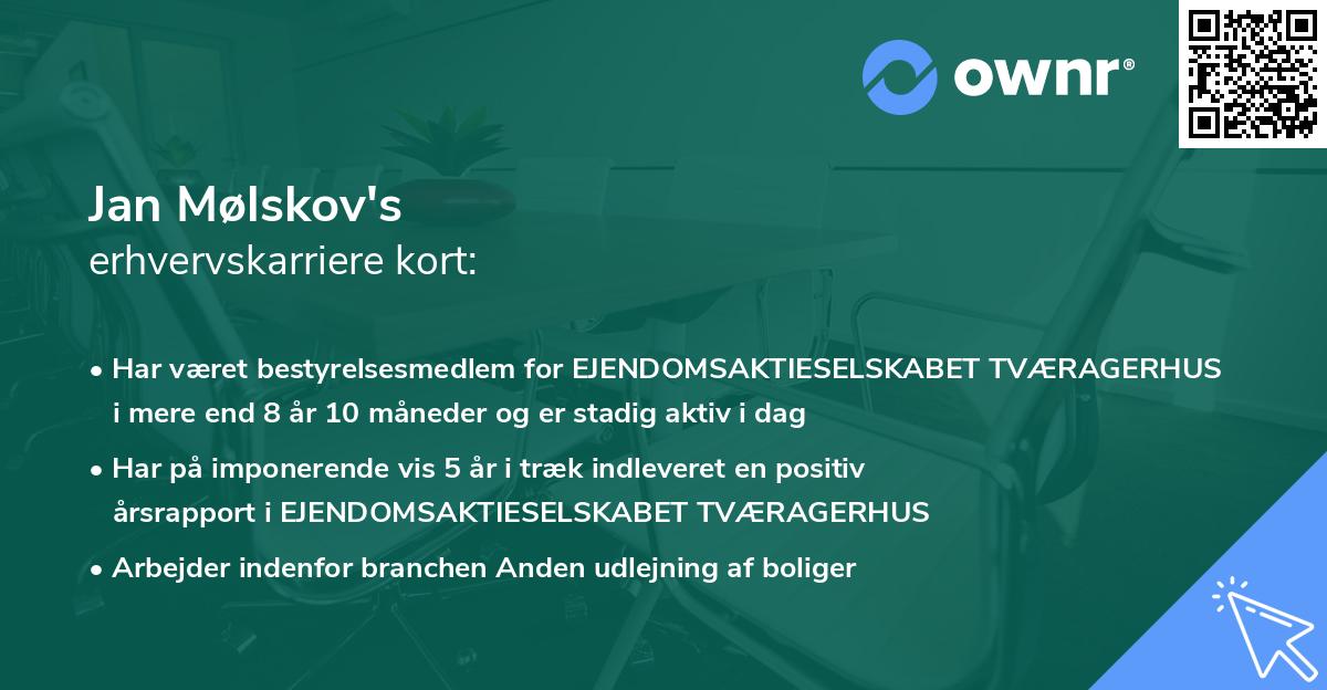 Jan Mølskov's erhvervskarriere kort
