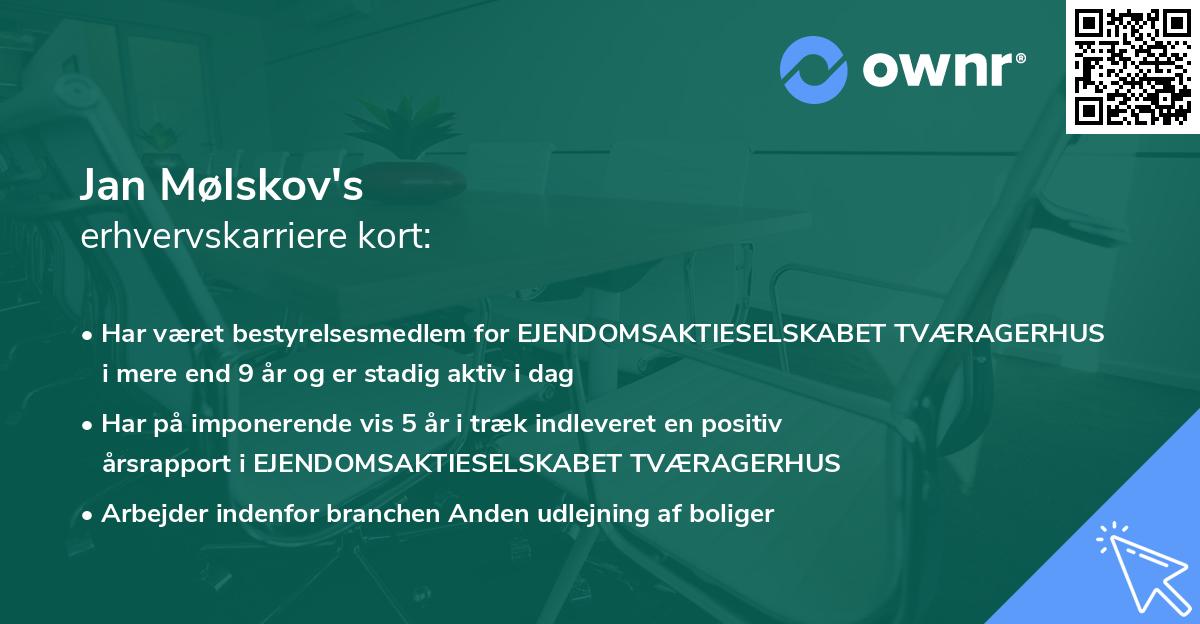 Jan Mølskov's erhvervskarriere kort