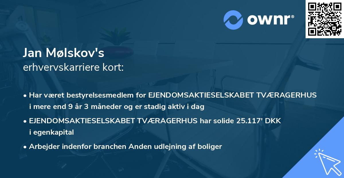 Jan Mølskov's erhvervskarriere kort