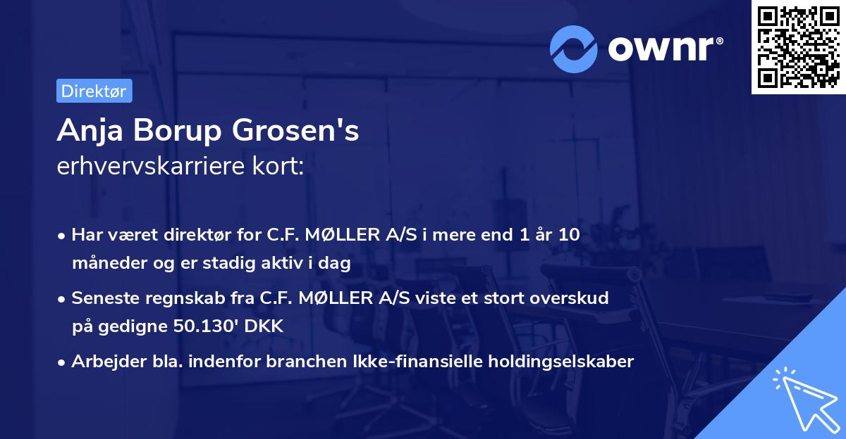 Anja Borup Grosen's erhvervskarriere kort