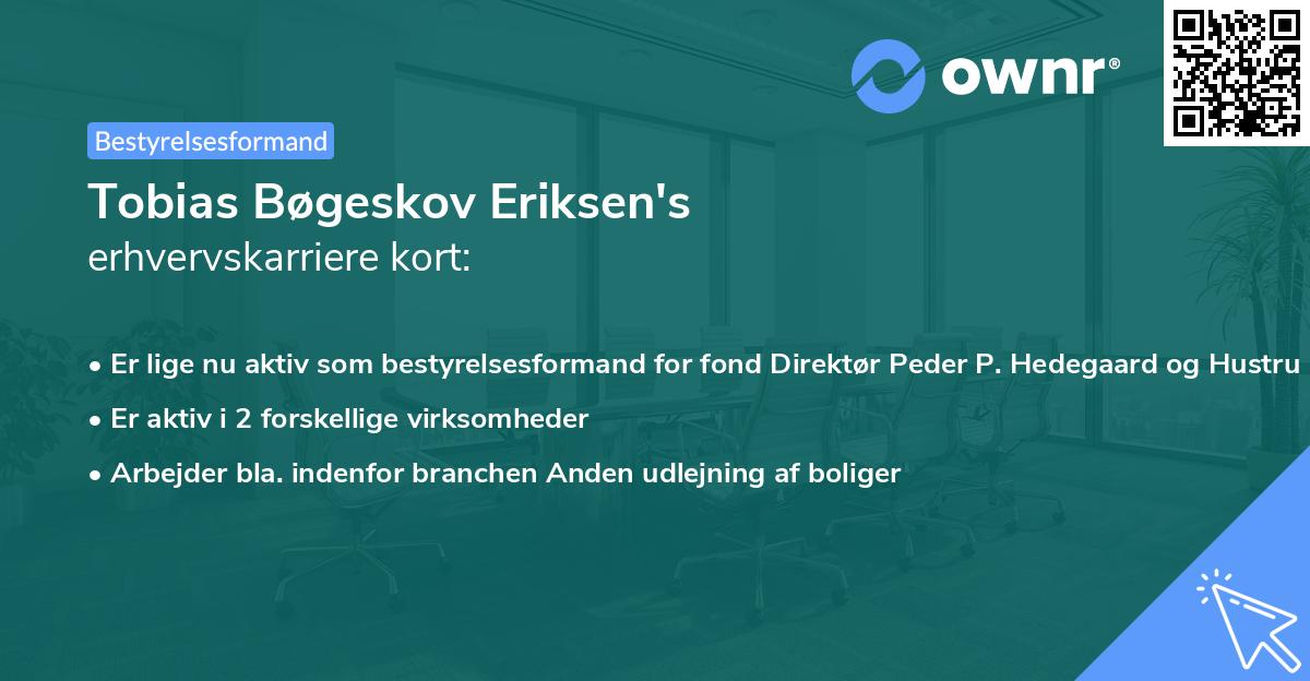 Tobias Bøgeskov Eriksen's erhvervskarriere kort