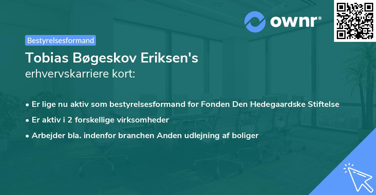 Tobias Bøgeskov Eriksen's erhvervskarriere kort