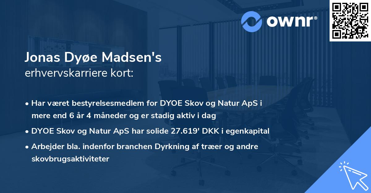 Jonas Dyøe Madsen's erhvervskarriere kort
