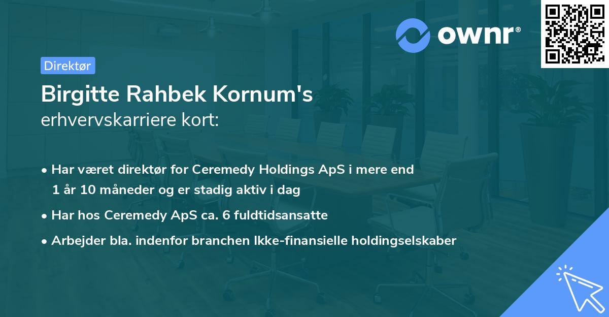 Birgitte Rahbek Kornum's erhvervskarriere kort