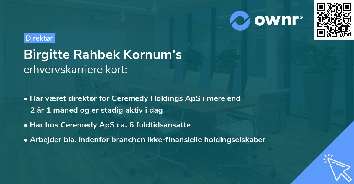 Birgitte Rahbek Kornum's erhvervskarriere kort