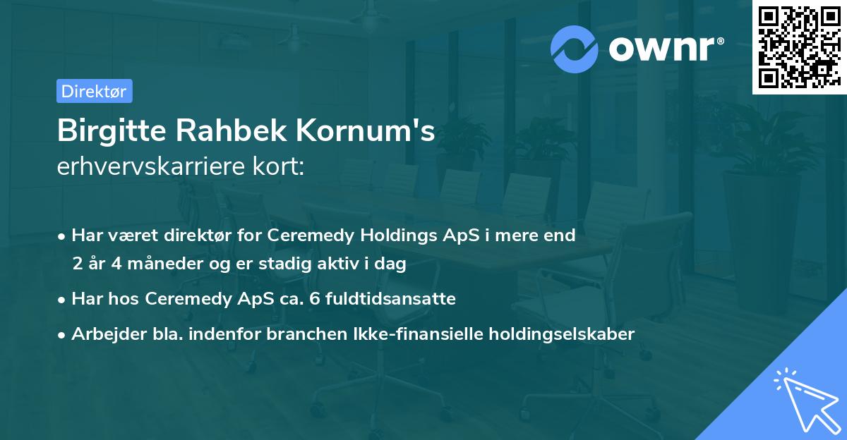 Birgitte Rahbek Kornum's erhvervskarriere kort