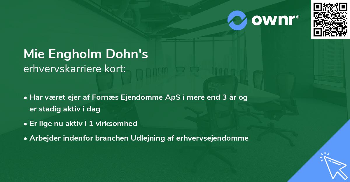 Mie Engholm Dohn's erhvervskarriere kort