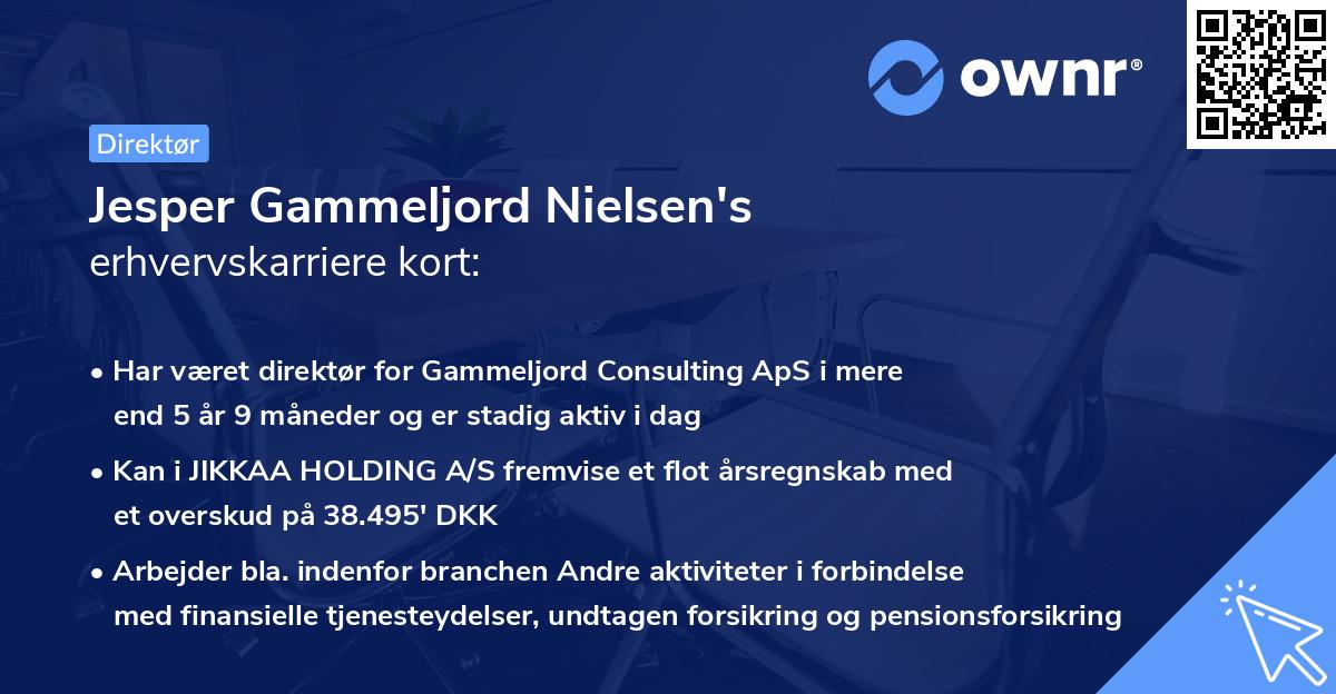 Jesper Gammeljord Nielsen's erhvervskarriere kort