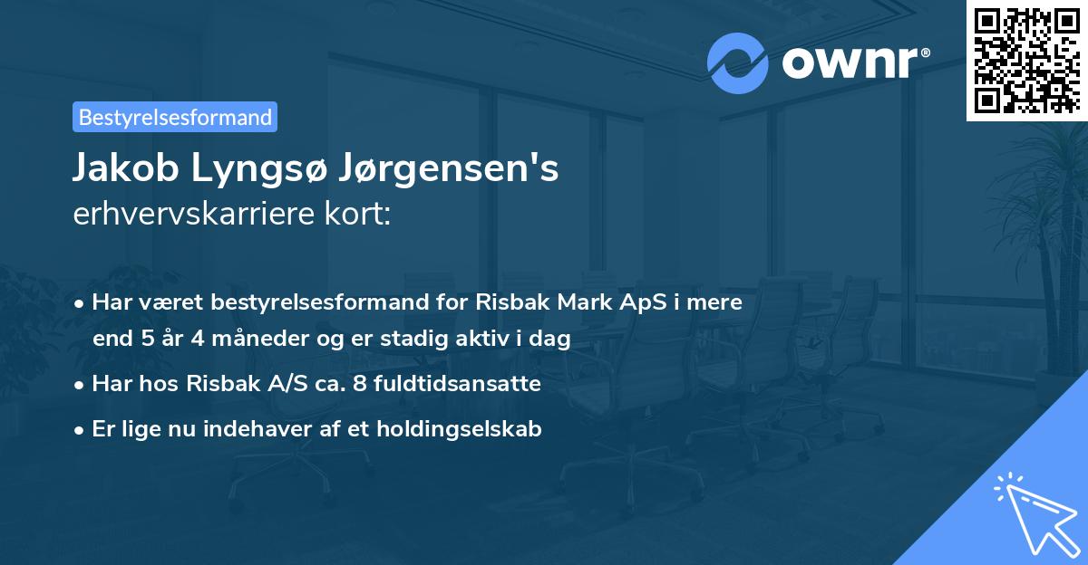 Jakob Lyngsø Jørgensen's erhvervskarriere kort