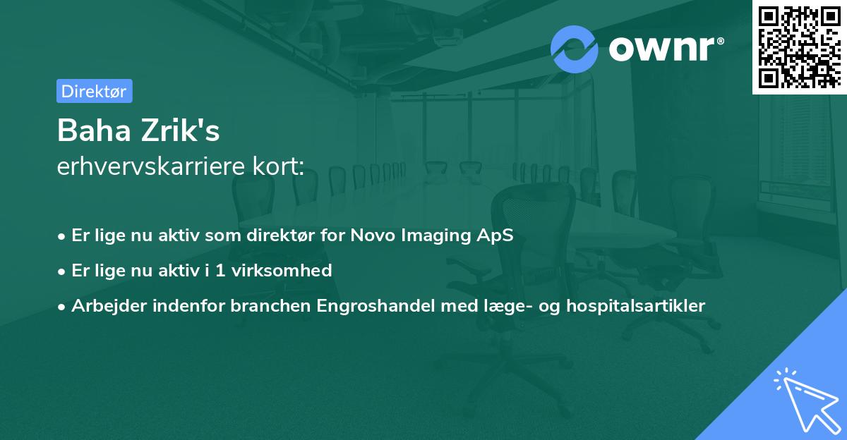 Baha Zrik's erhvervskarriere kort