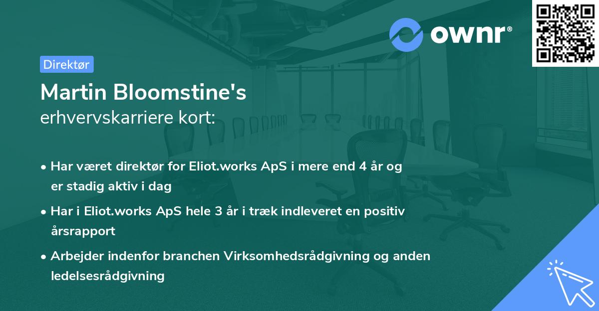 Martin Bloomstine's erhvervskarriere kort