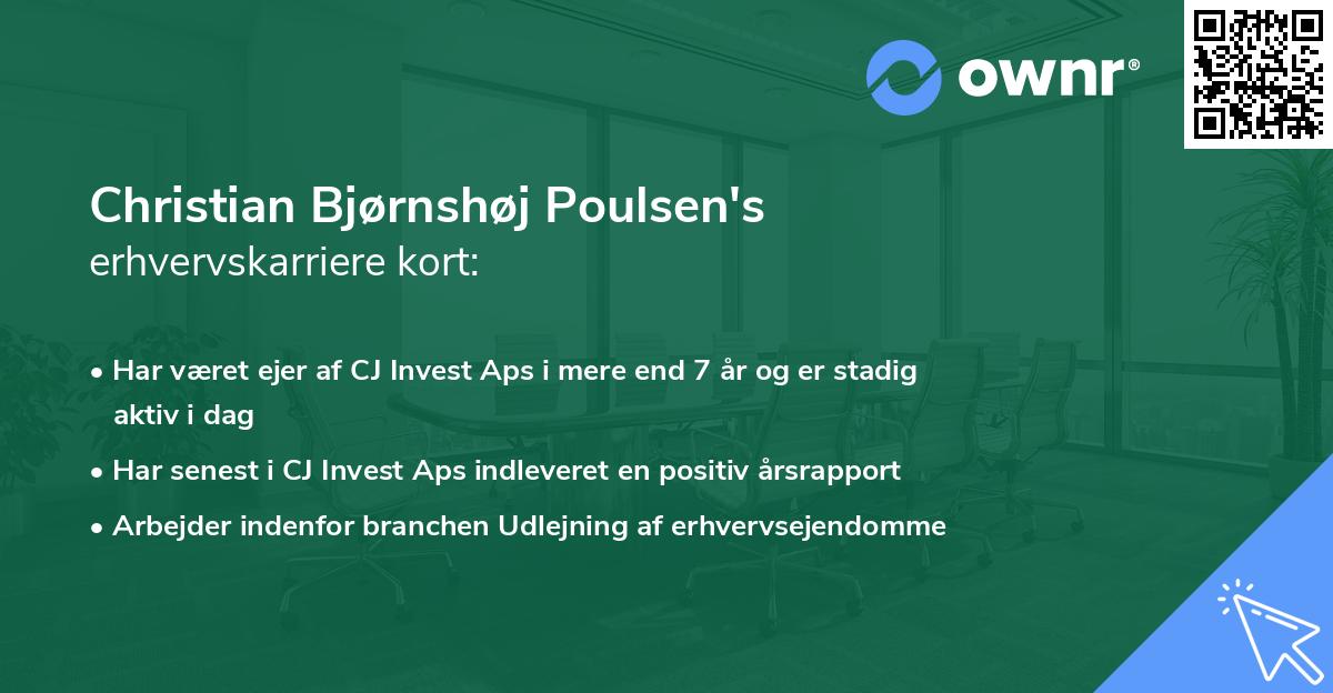 Christian Bjørnshøj Poulsen's erhvervskarriere kort