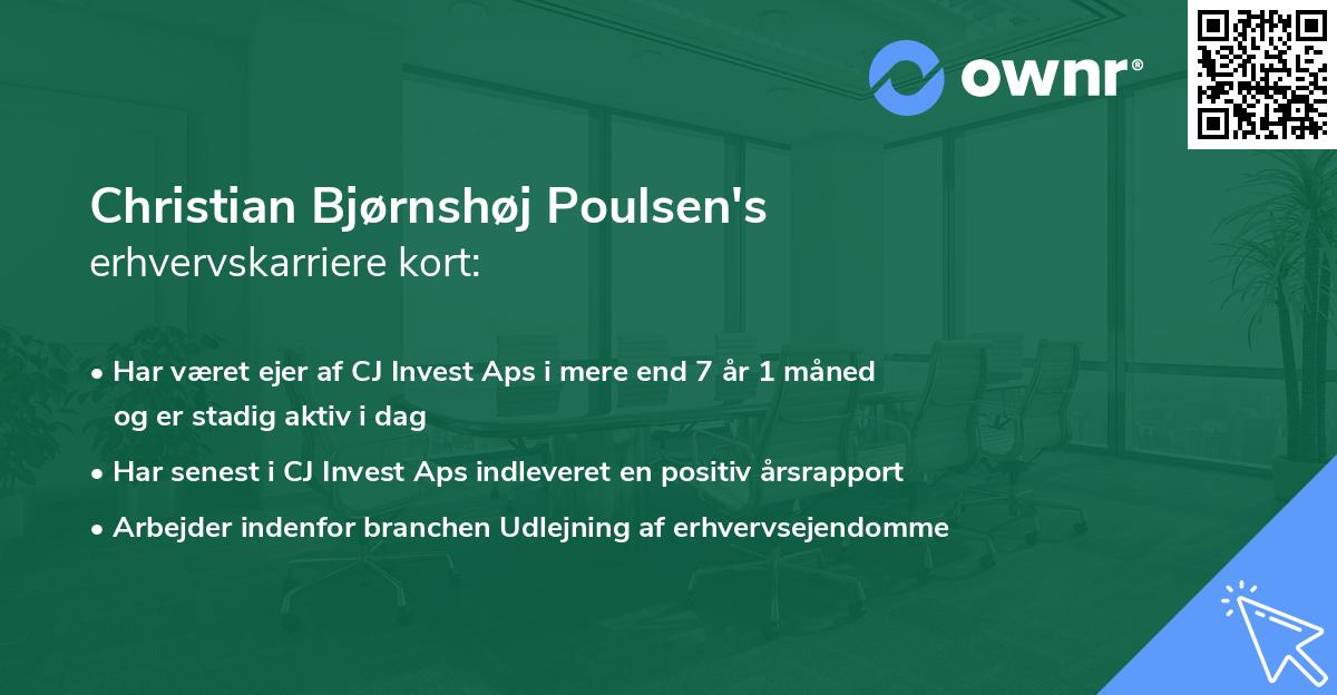 Christian Bjørnshøj Poulsen's erhvervskarriere kort
