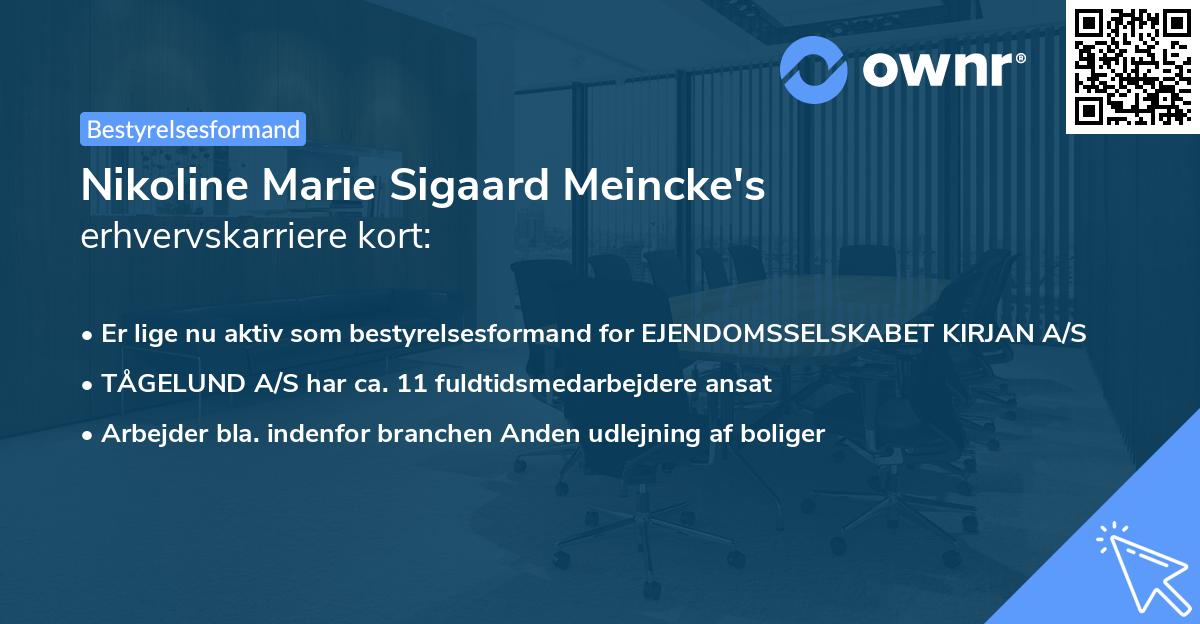 Nikoline Marie Sigaard Meincke's erhvervskarriere kort