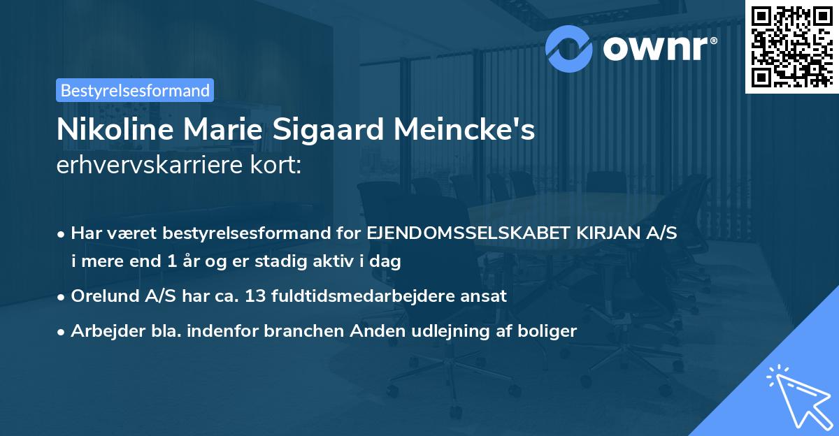 Nikoline Marie Sigaard Meincke's erhvervskarriere kort
