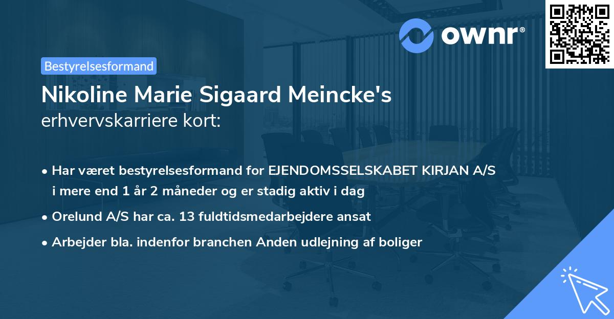Nikoline Marie Sigaard Meincke's erhvervskarriere kort