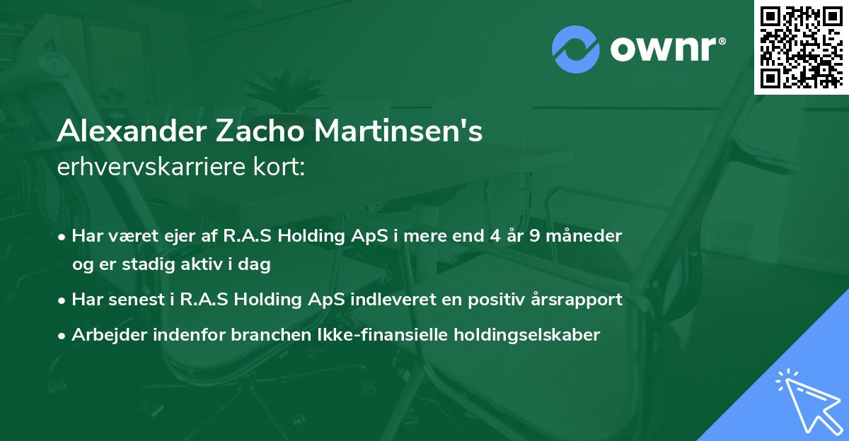 Alexander Zacho Martinsen's erhvervskarriere kort