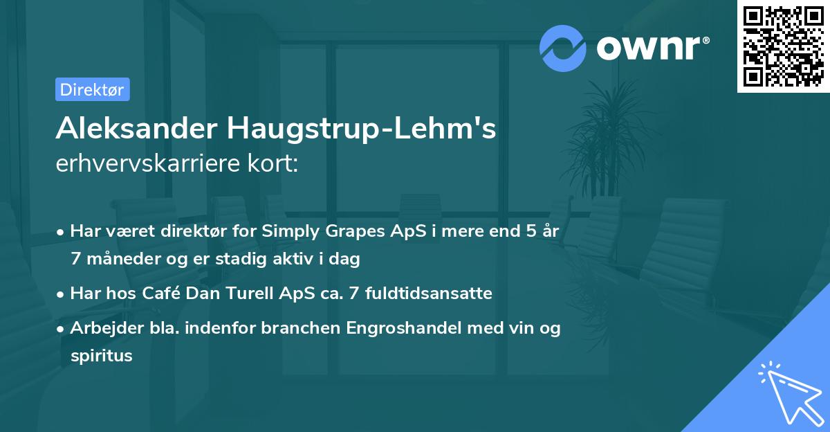 Aleksander Haugstrup-Lehm's erhvervskarriere kort