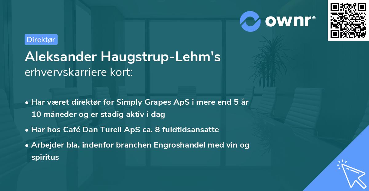 Aleksander Haugstrup-Lehm's erhvervskarriere kort
