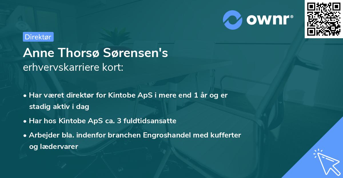 Anne Thorsø Sørensen's erhvervskarriere kort