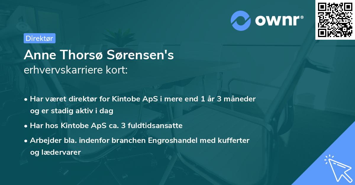 Anne Thorsø Sørensen's erhvervskarriere kort