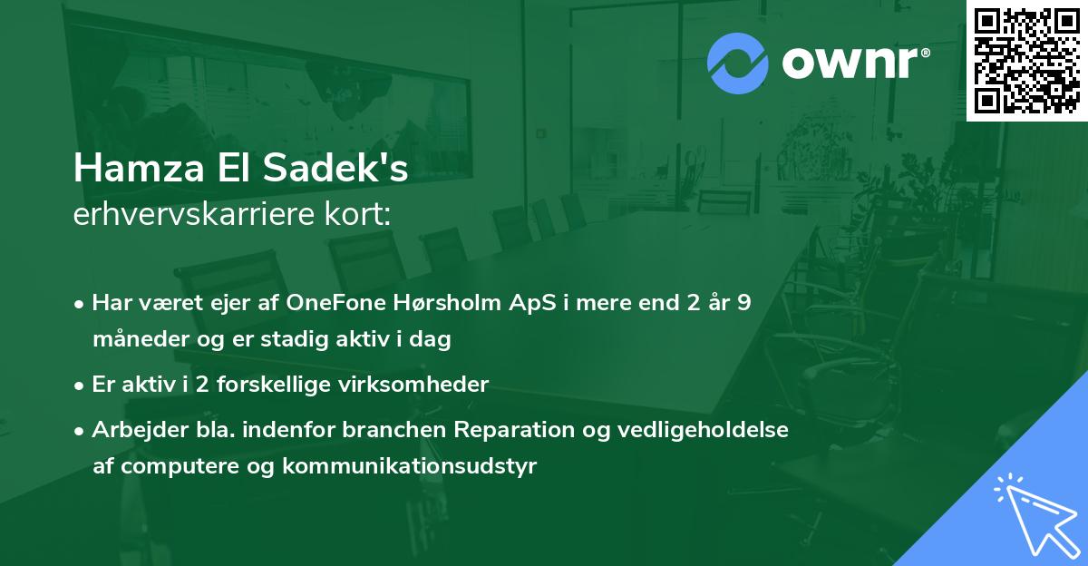 Hamza El Sadek's erhvervskarriere kort