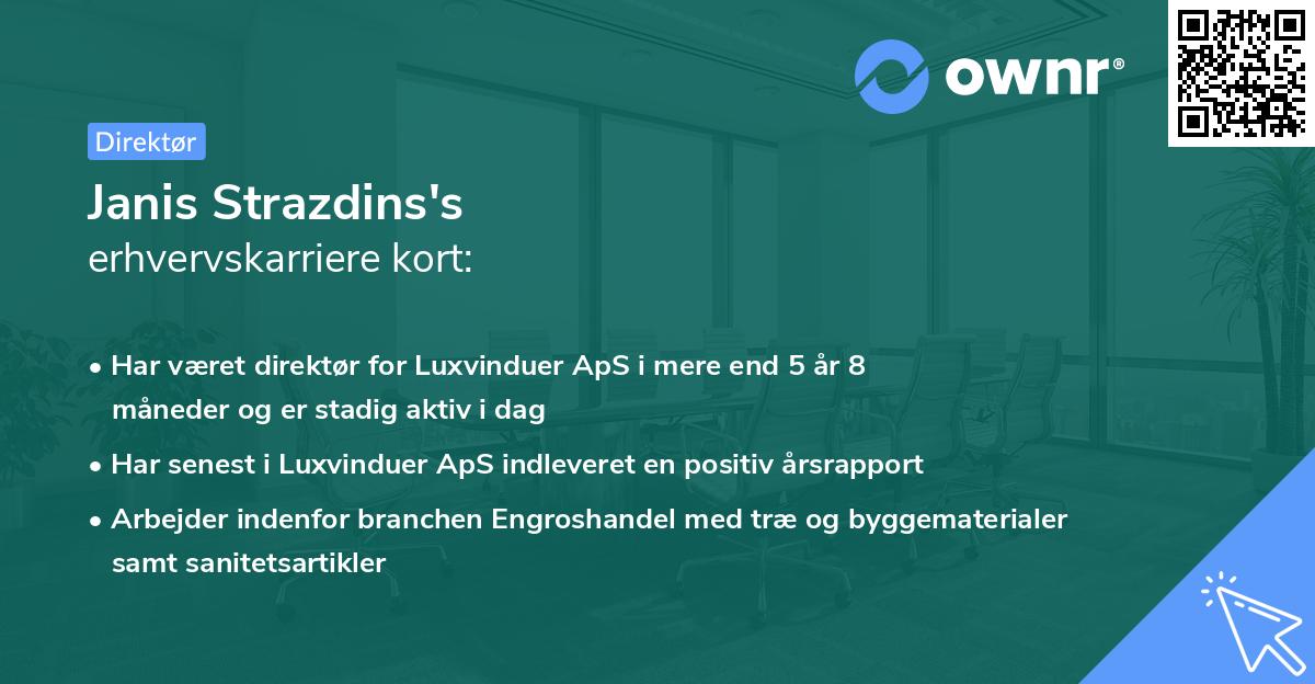 Janis Strazdins's erhvervskarriere kort