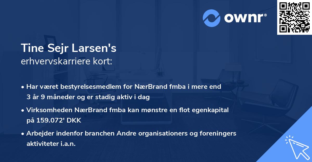 Tine Sejr Larsen's erhvervskarriere kort