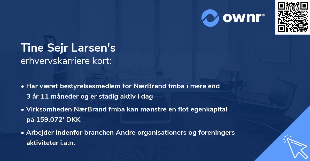 Tine Sejr Larsen's erhvervskarriere kort