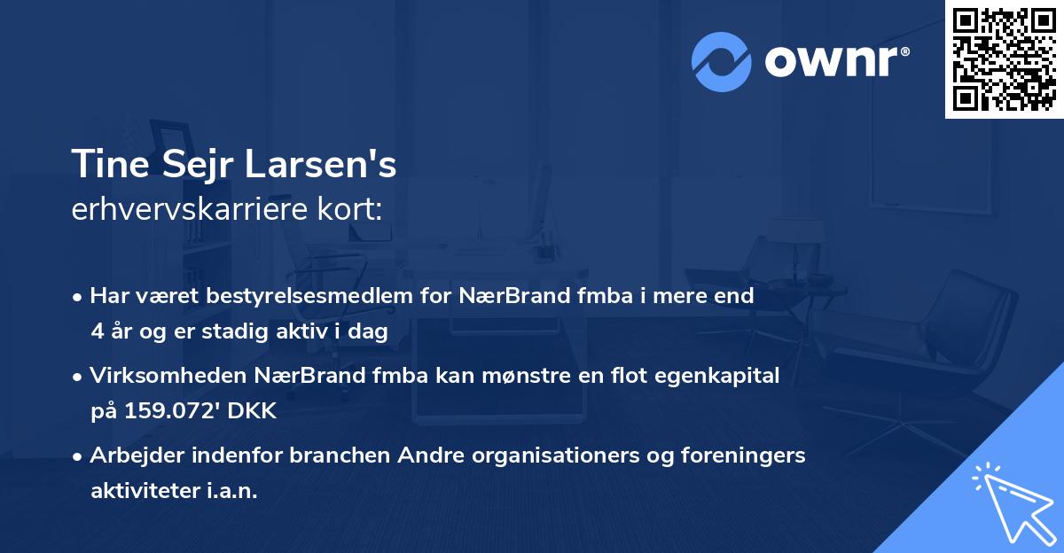 Tine Sejr Larsen's erhvervskarriere kort
