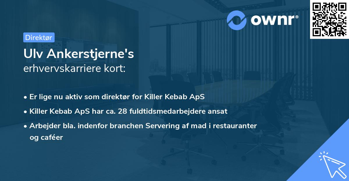 Ulv Ankerstjerne's erhvervskarriere kort