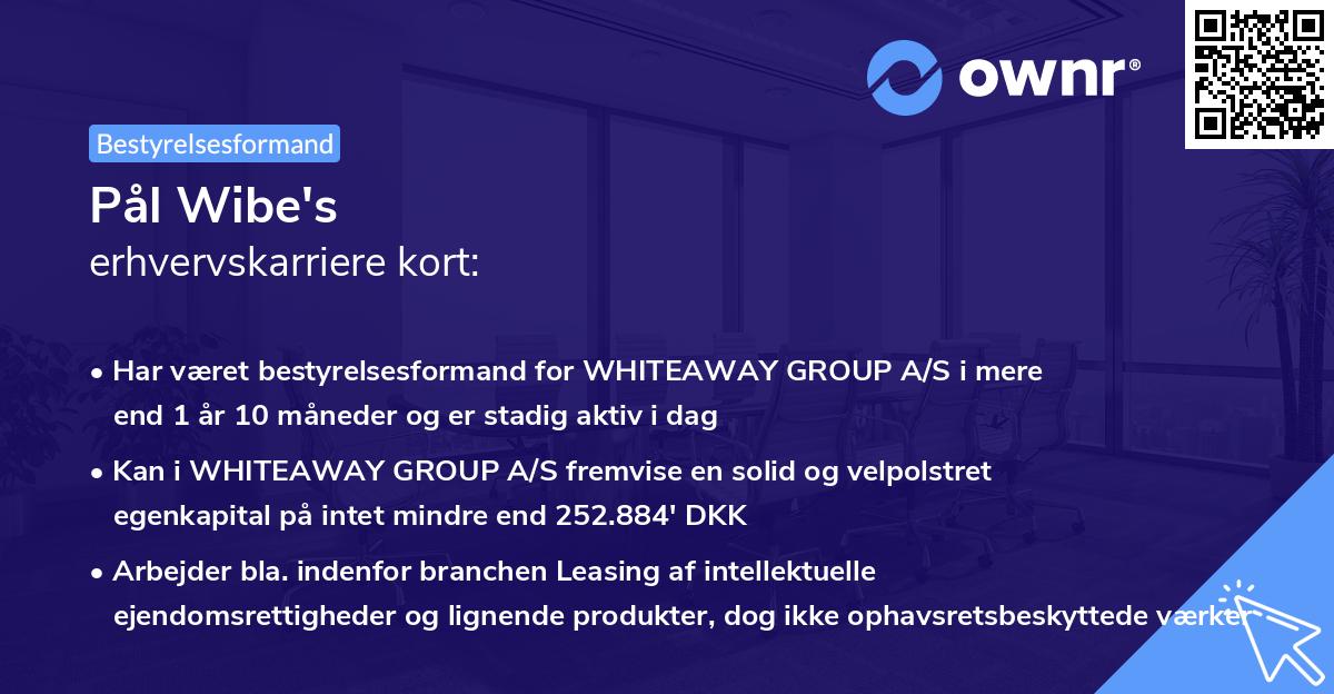 Pål Wibe's erhvervskarriere kort