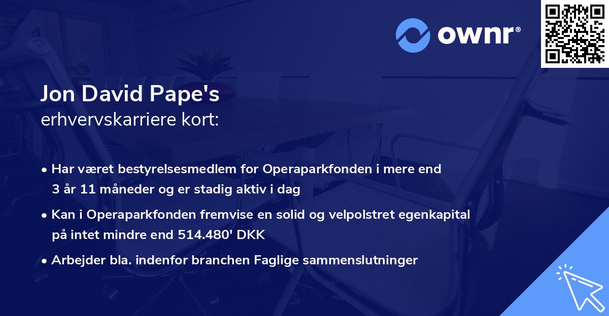 Jon David Pape's erhvervskarriere kort