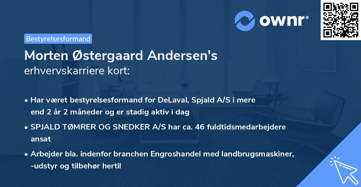 Morten Østergaard Andersen's erhvervskarriere kort