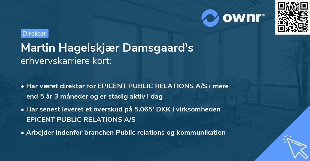 Martin Hagelskjær Damsgaard's erhvervskarriere kort