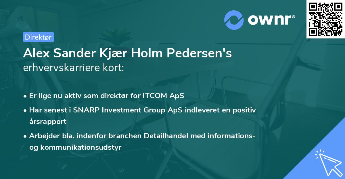 Alex Sander Kjær Holm Pedersen's erhvervskarriere kort