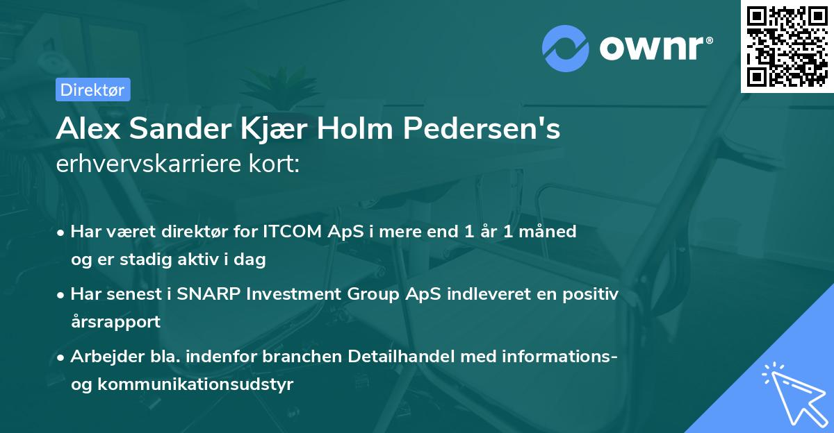 Alex Sander Kjær Holm Pedersen's erhvervskarriere kort