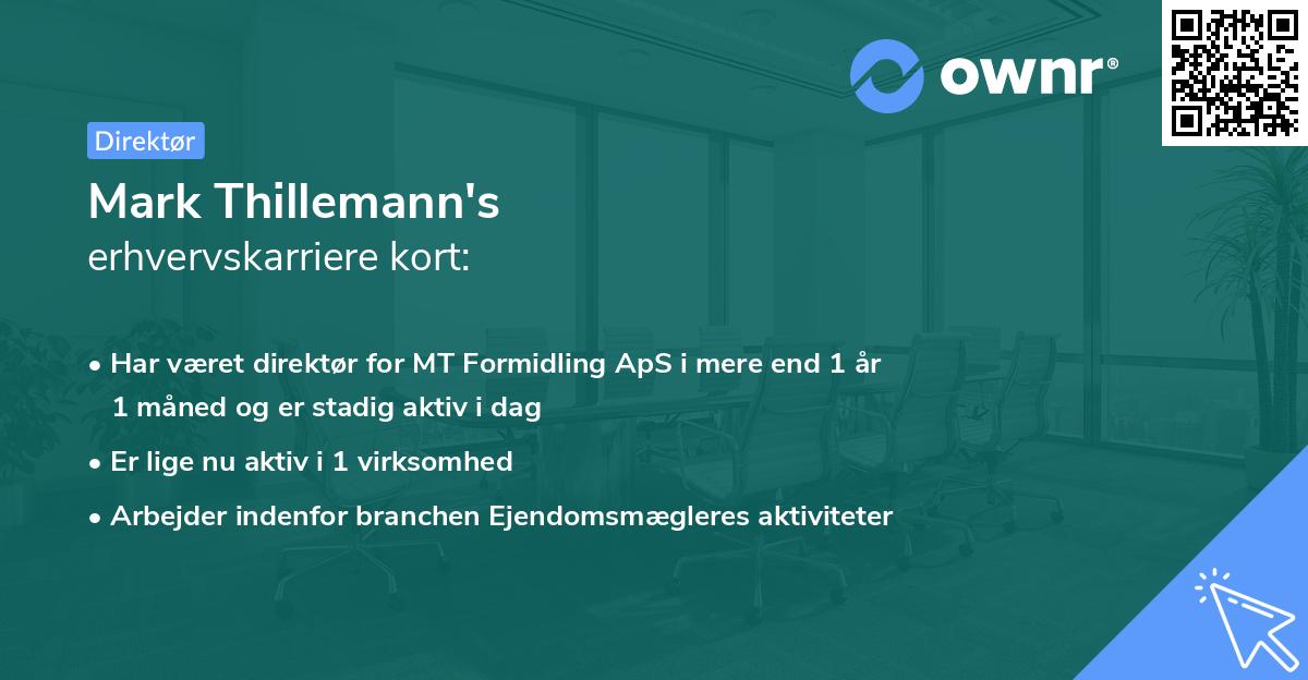 Mark Thillemann's erhvervskarriere kort