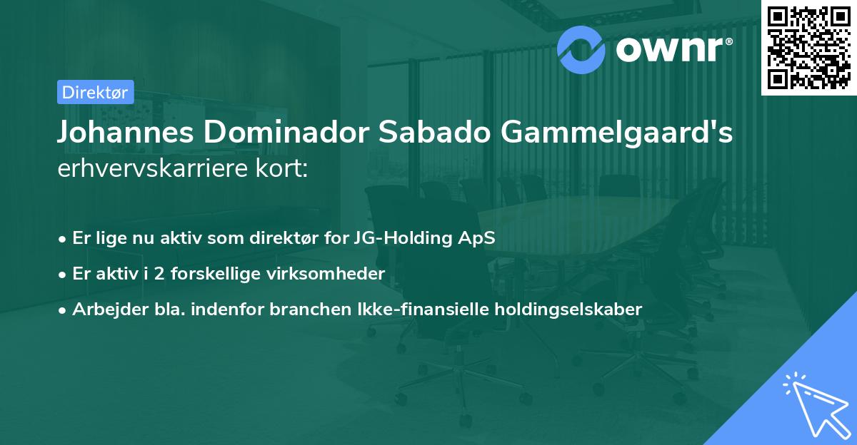 Johannes Dominador Sabado Gammelgaard's erhvervskarriere kort