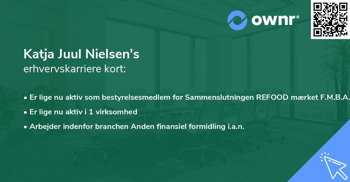 Katja Juul Nielsen's erhvervskarriere kort