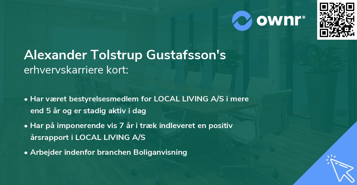 Alexander Tolstrup Gustafsson's erhvervskarriere kort