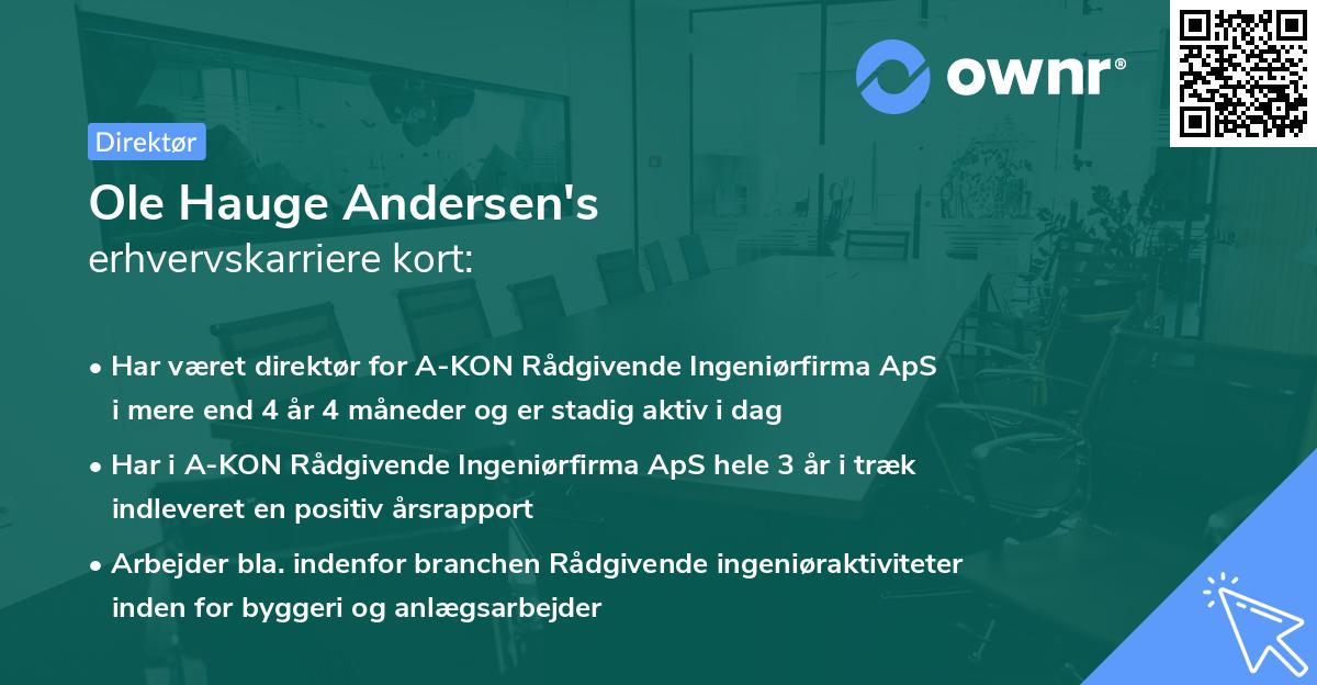 Ole Hauge Andersen's erhvervskarriere kort