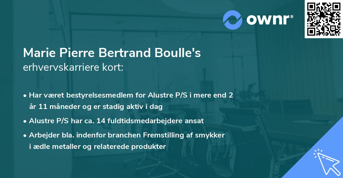 Marie Pierre Bertrand Boulle's erhvervskarriere kort