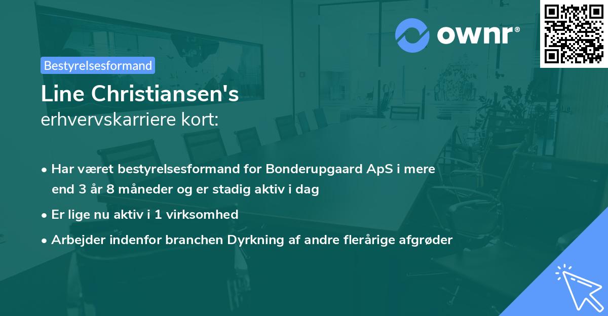 Line Christiansen's erhvervskarriere kort