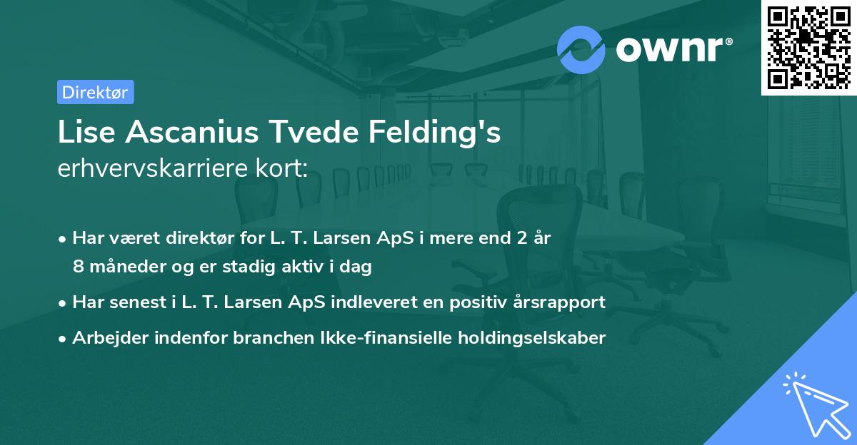 Lise Ascanius Tvede Felding's erhvervskarriere kort