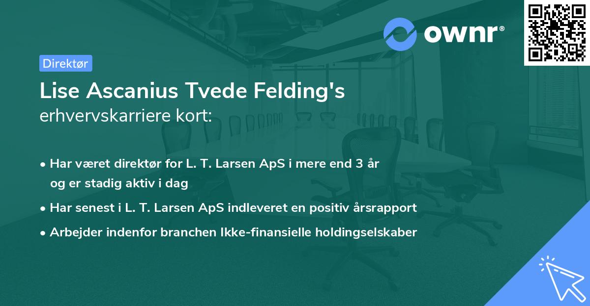 Lise Ascanius Tvede Felding's erhvervskarriere kort