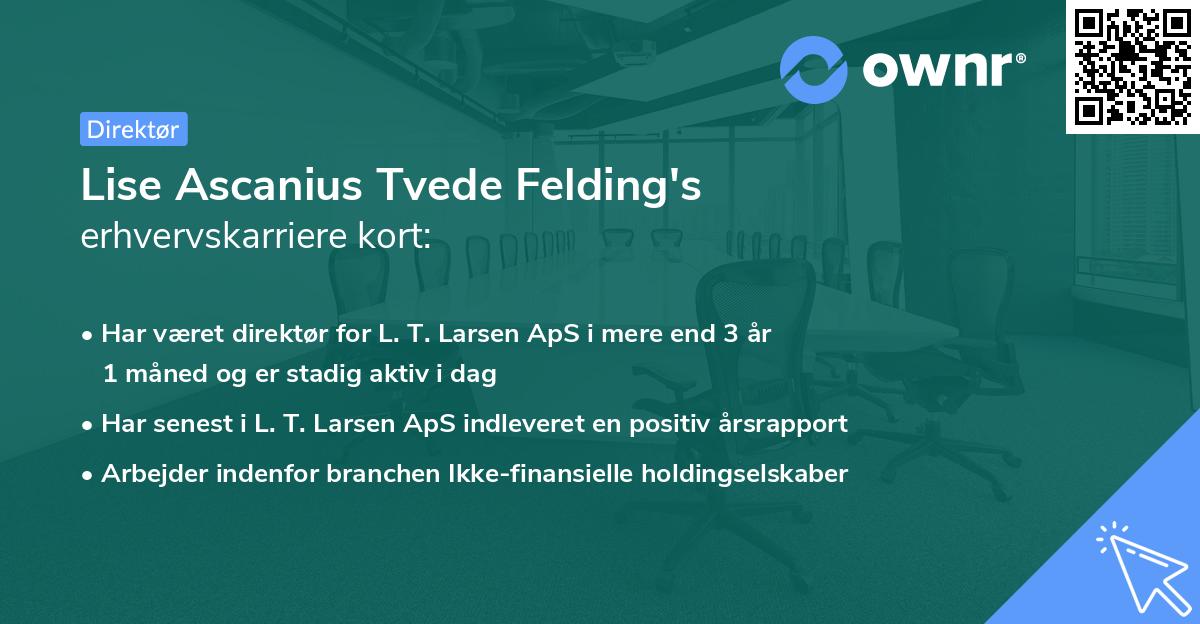 Lise Ascanius Tvede Felding's erhvervskarriere kort