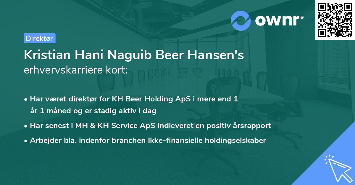 Kristian Hani Naguib Beer Hansen's erhvervskarriere kort