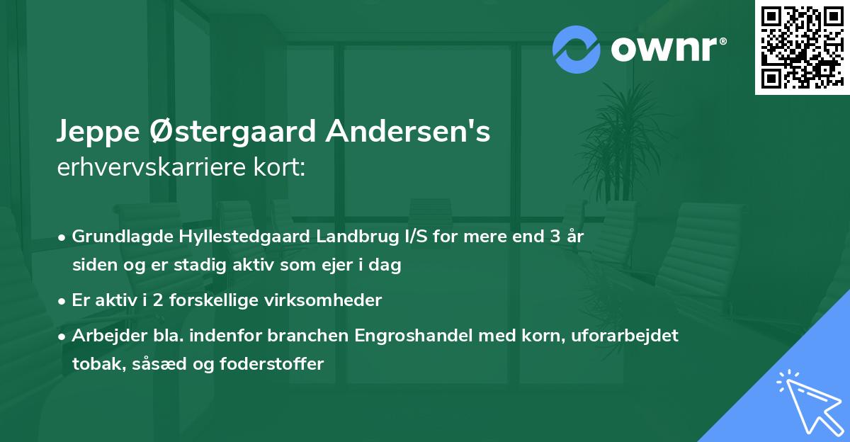 Jeppe Østergaard Andersen's erhvervskarriere kort